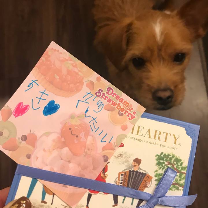 63748e35 978e 4b26 8581 b511318b6745 1550138333191