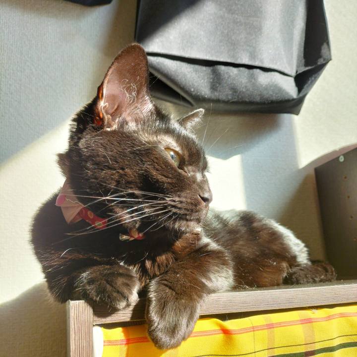 6374c846 76ef 40f8 bf59 9713ca3b5f80 1673139078622