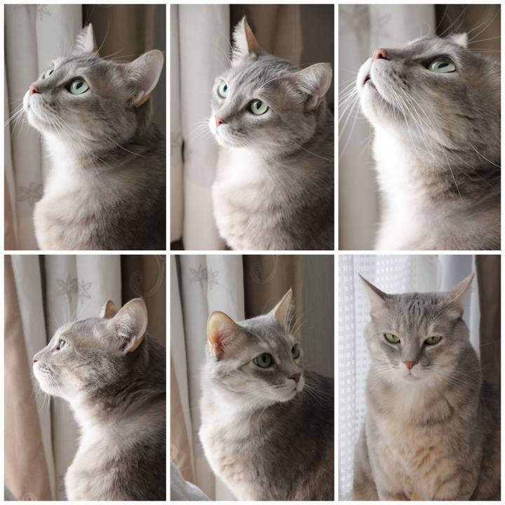 6374e145 9202 4561 a1b3 6259c417a571 1645333992822