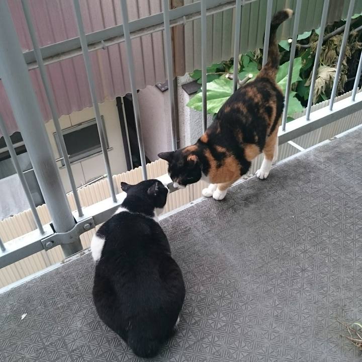 6374fa1c 45c0 4b3d 9598 a9ee3cd288d2 1514647051211