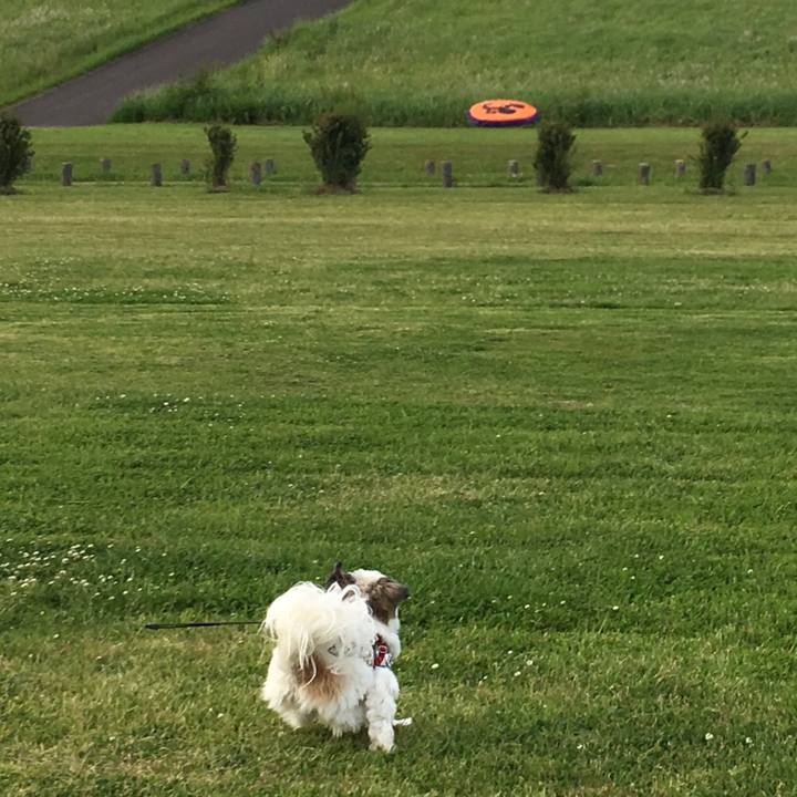 637522b4 dbfb 4a64 8f58 2860c1d95437 1526126056303