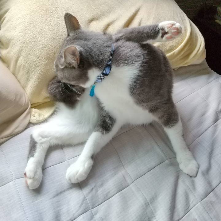 63755e61 0212 4df1 bbae 2b039f231b76 1600742616847