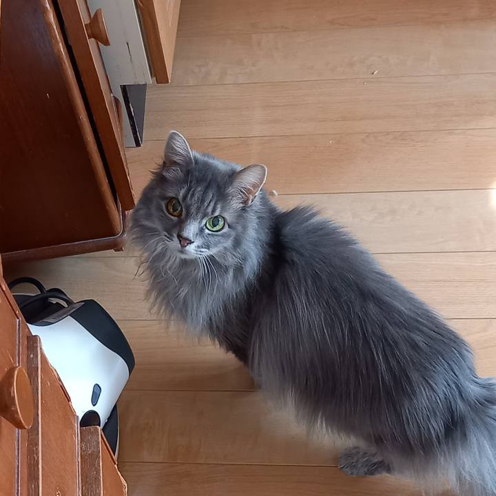 637564a6 b7cc 4d5a aad5 d4f3f8ce6bb8 1681336526782