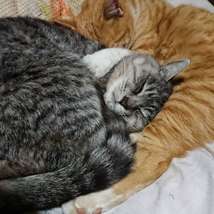 637577ea 19dd 479b 8eaf 9376f5a11eb8 1575033289072