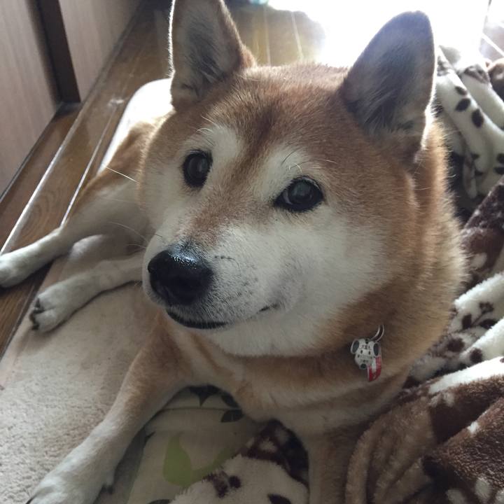 63759bb1 2a2f 4b20 ab1e 6aee0592ed9e 1519523796775