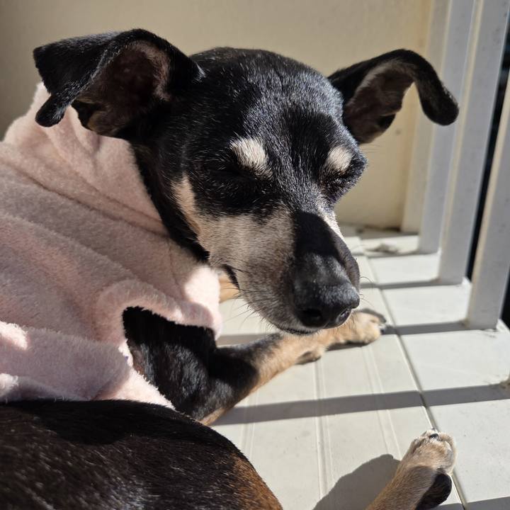 63759c4e 329f 4146 9f6d 42580771e5a6 1765082799597