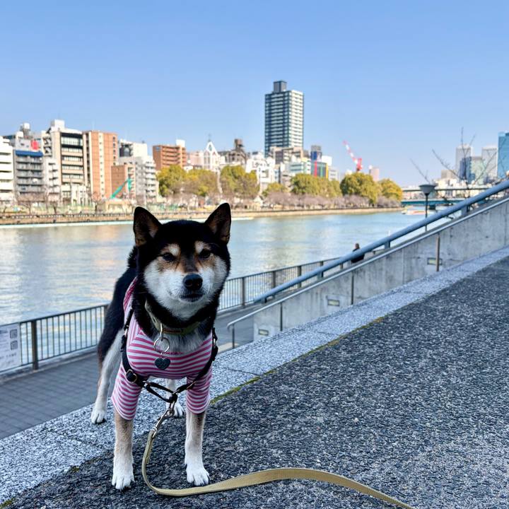 6375af48 c265 4caf 80b0 4d16ecb06ae6 1771679935164