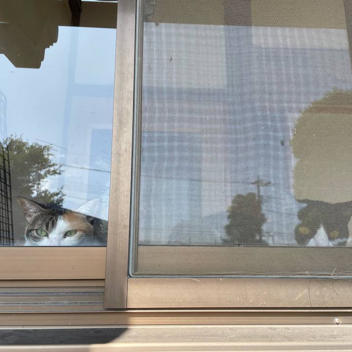 6375b0a9 9dcf 449d b7b7 133ab255e0e2 1696643519231