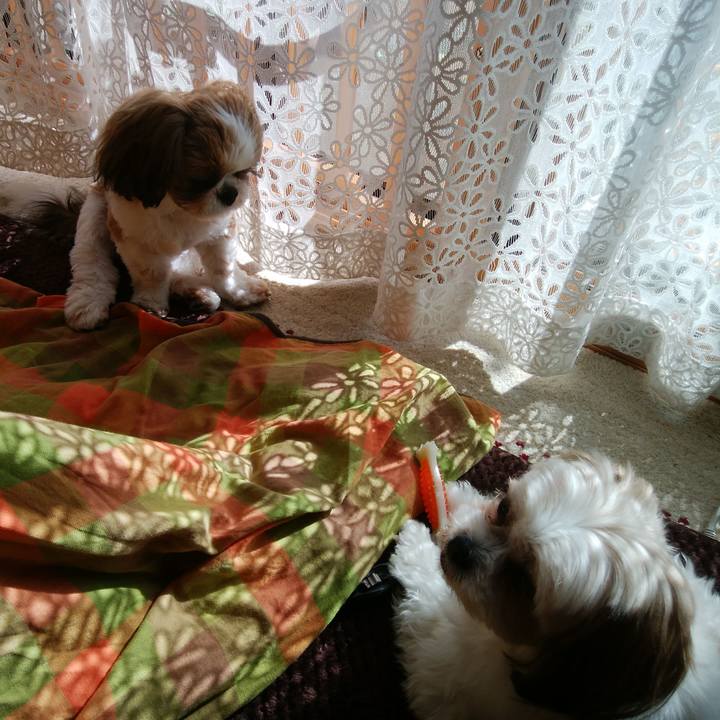 6375c55d fade 48a5 bd66 4314a3134bad 1540786968605