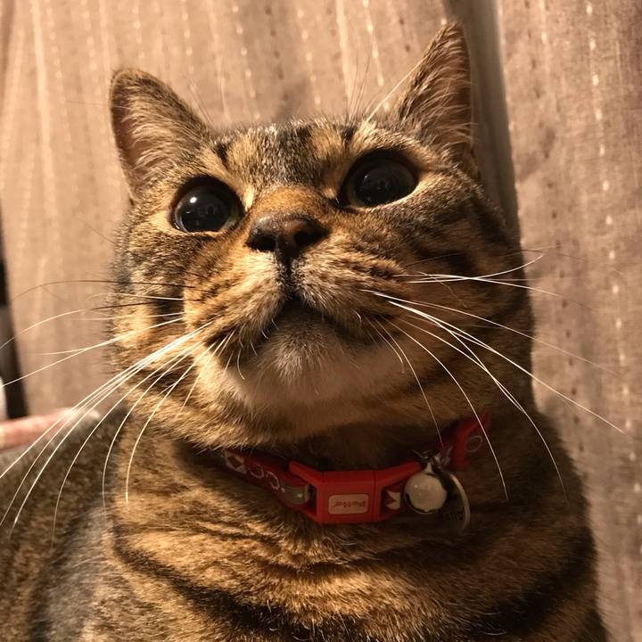 6375de4d 618b 41a7 9bf1 96eba47784a2 1654172525515