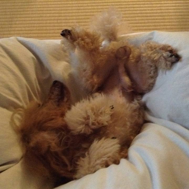 6375e109 b97c 4ca7 96a4 75a941df0a00 1514376470980