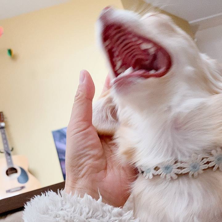 6375fadf bb5c 44d9 a9d6 085b64186349 1610458746439