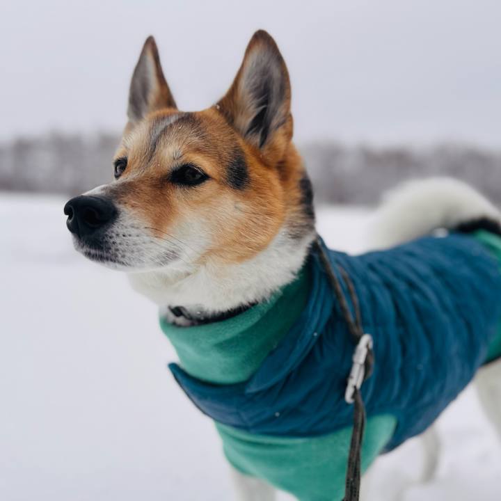 63760dbf 3da0 4fac a110 3b5fc797da61 1770774200568