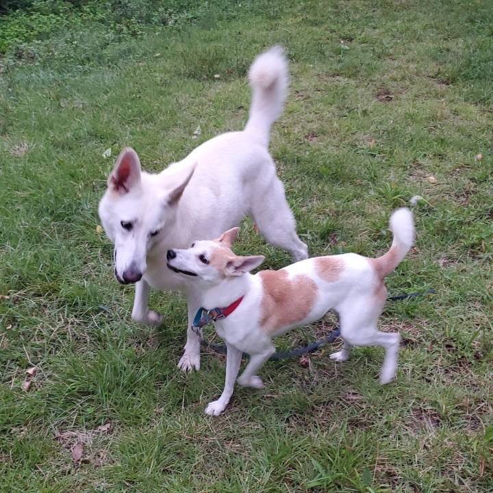 63761d49 62dd 453c b53c 4dcaadbee14b 1599143054030