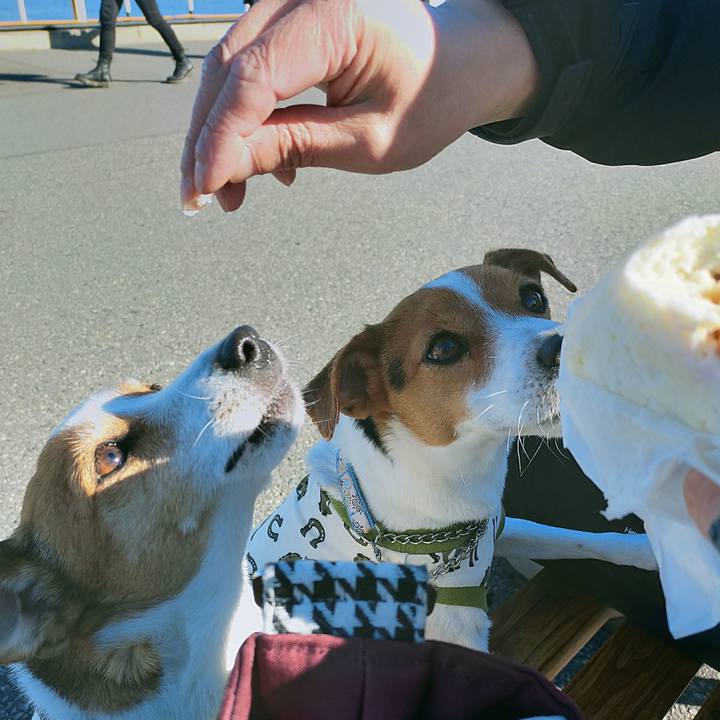 6376412b ae42 484a a5cc e8e8735047a8 1767423549700