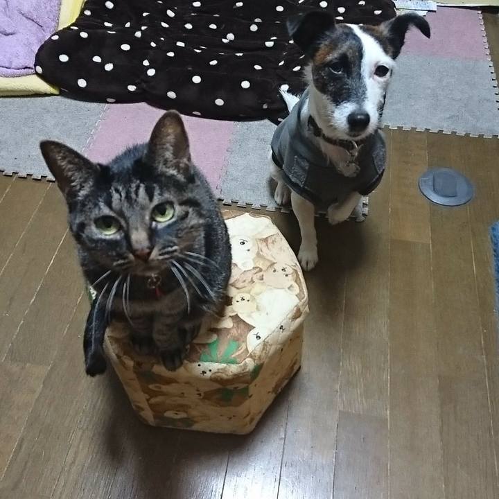 63764f2c e85a 47ce 8bd3 43cee3db50de 1510402071017