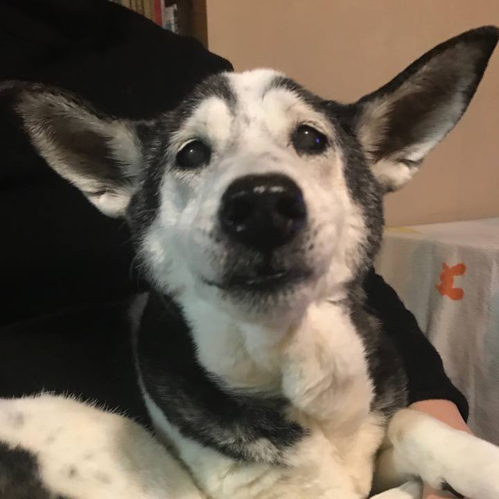 63766da3 1dfc 42d5 90bf 1b3ff3c09933 1620916900447