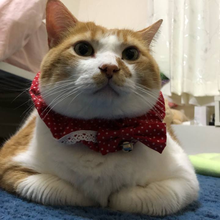 63769c30 6f1f 4433 bd6e 6f12bff1ce1b 1559472202178