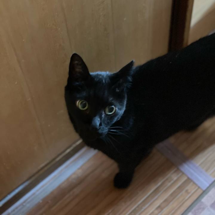 6376a70d 7b31 4694 8bd4 a1f81795af96 1660269862361