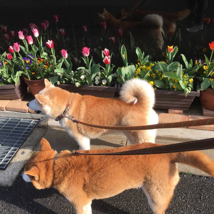 6376c85c 32be 4f33 ab52 5d61f45f98f6 1522563245672