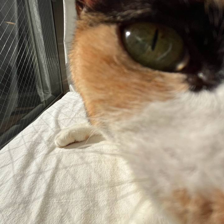 6376cd67 0056 4437 a046 3261a6c37450 1728881052625