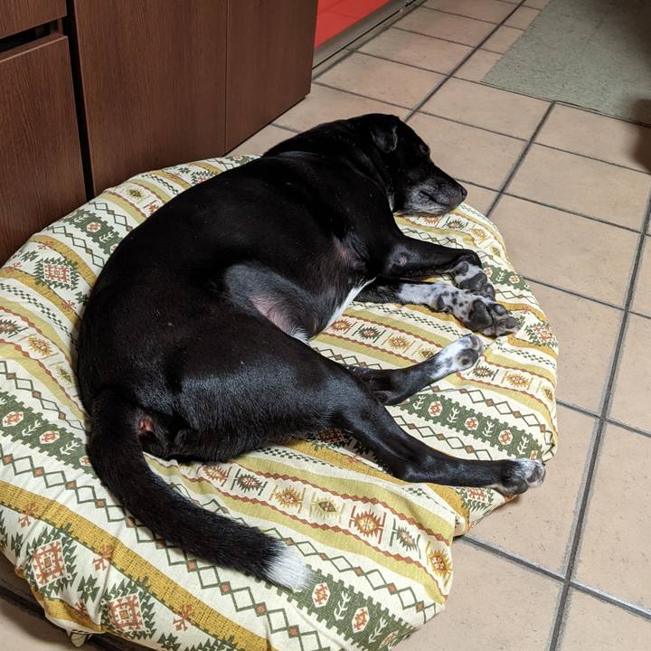 63770fca 2ec4 41f1 b5b9 aa95cf8cedfd 1662424174393