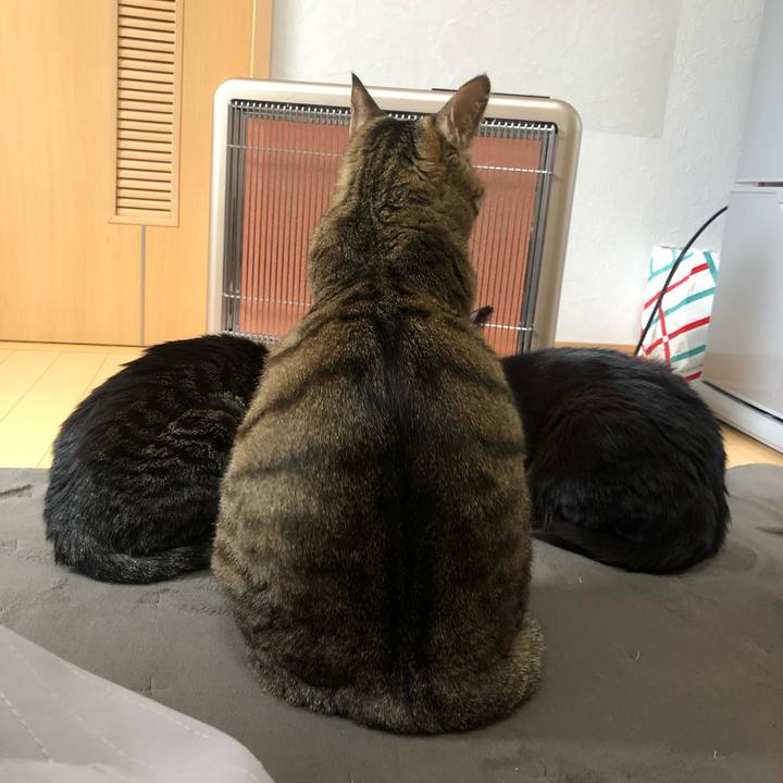 63775e75 5ae8 46b8 9b61 fbcfec892ebe 1648882704853