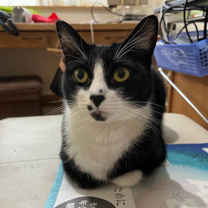 63776c90 b8c8 4d5b 98f0 5459c971697b 1652655216202