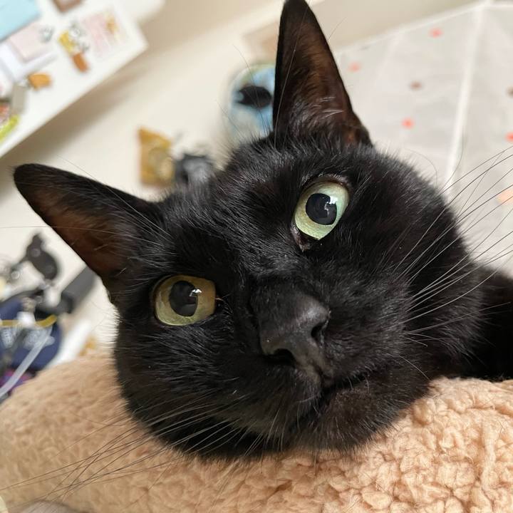 637777e6 c341 4773 8cfa 828f08b9c721 1652496923649