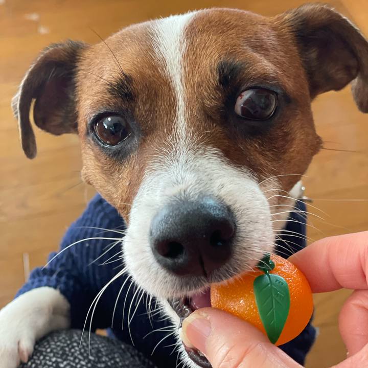 63777817 bf10 4cea 9b87 8d58aadf6be9 1641693183875