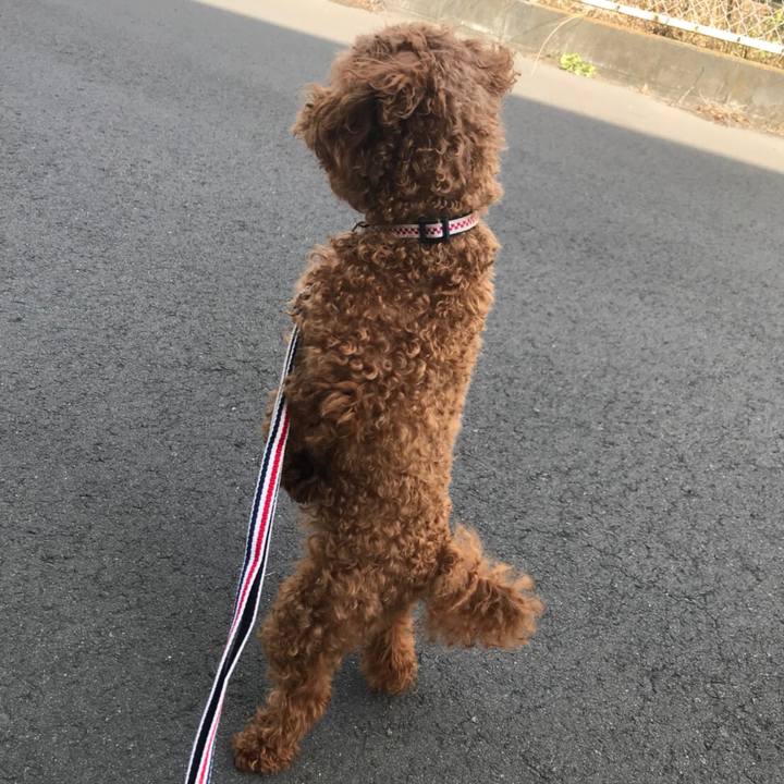 63777fe9 3403 48a5 bb38 db89514cf963 1528460397415