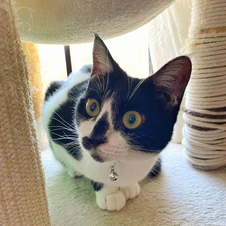 6377ba9d 80a0 4f23 8c4e 15097e1f653a 1758426524758