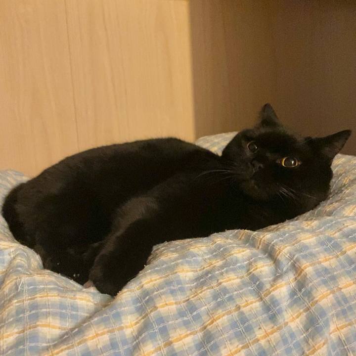 6377d255 30d3 404a 95d8 f86e26cc5542 1678972892532