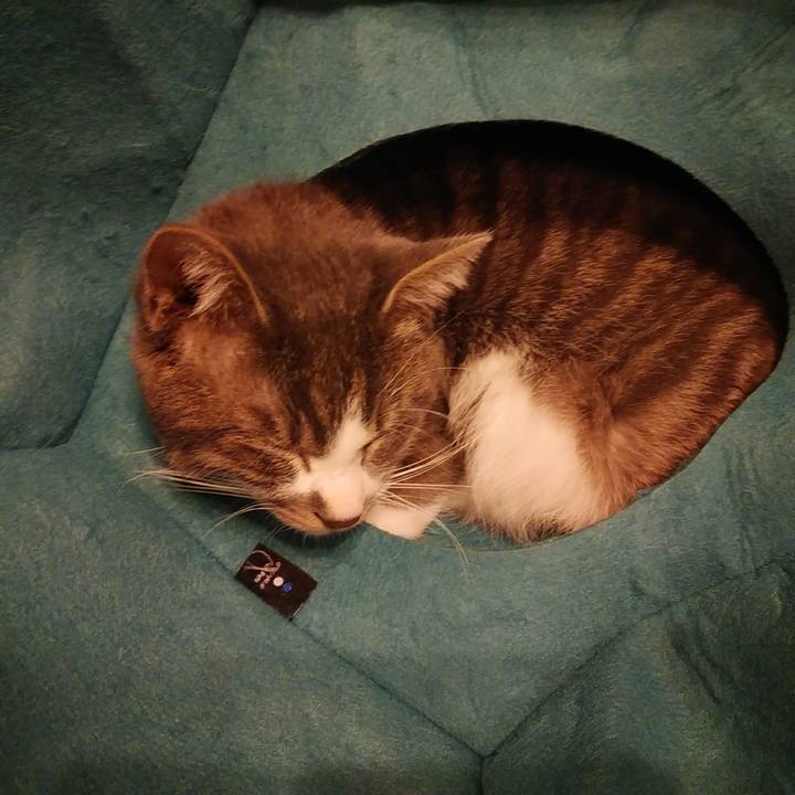 6378152a 6549 4699 9d94 b1a8c19a8d7d 1579608063996