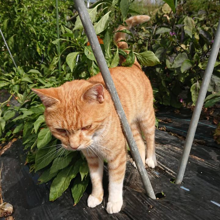 637823eb 81fe 40d6 b51d 0ee856fa62fa 1602986069782