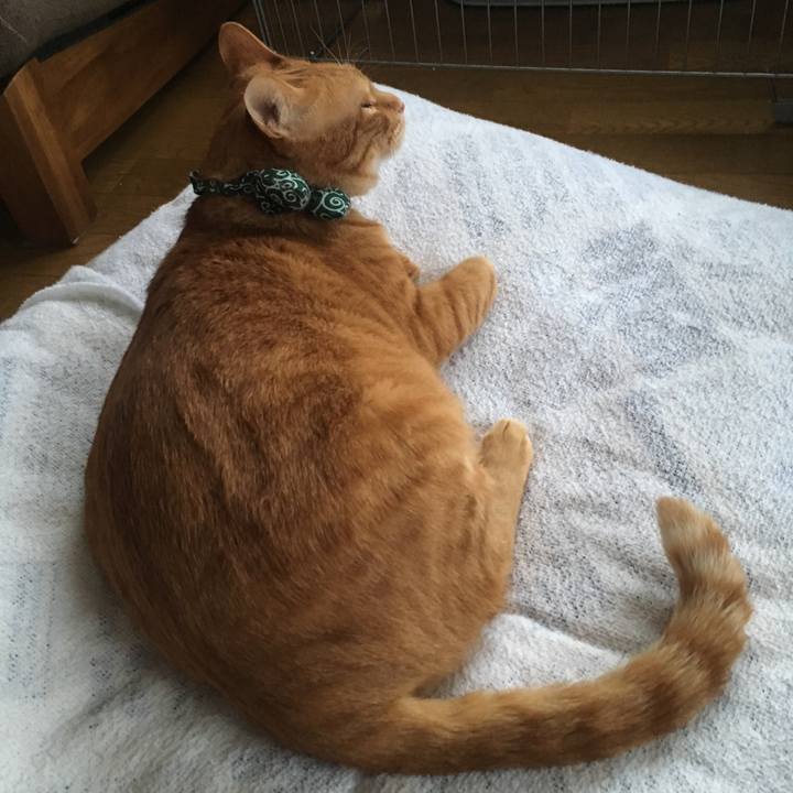 63782a2c 2206 4328 9ca0 b90c799d4ecf 1547850656535