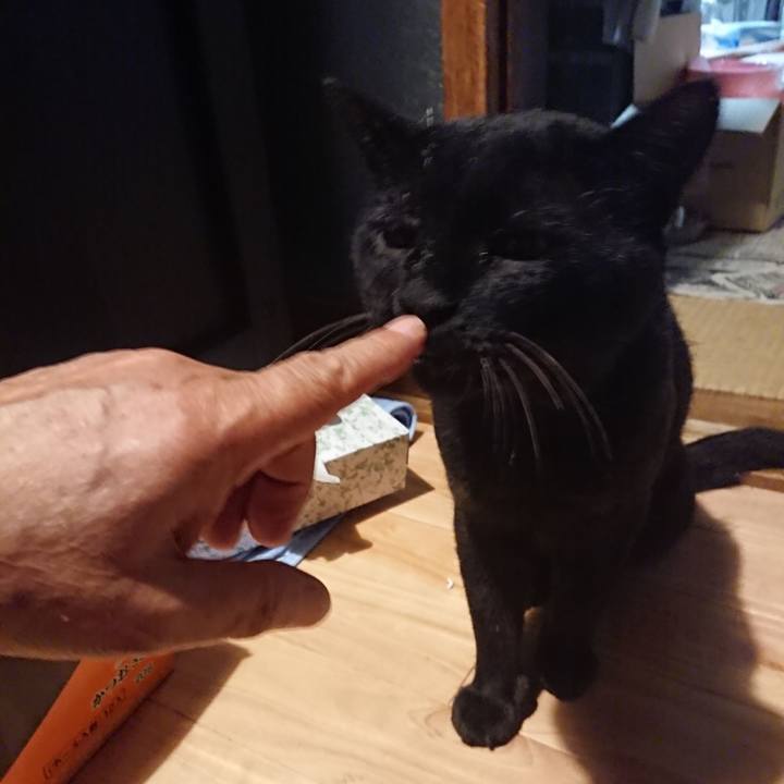 63783026 74c4 48be af67 5f614be384db 1628339799740