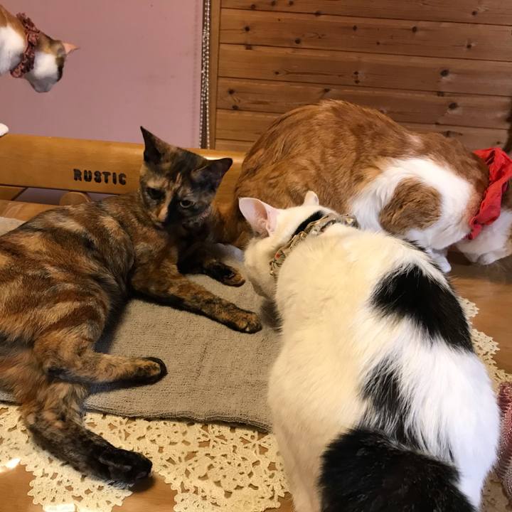 63784c4b 212e 4cec a5ca e9bfe1c854e1 1625085069850