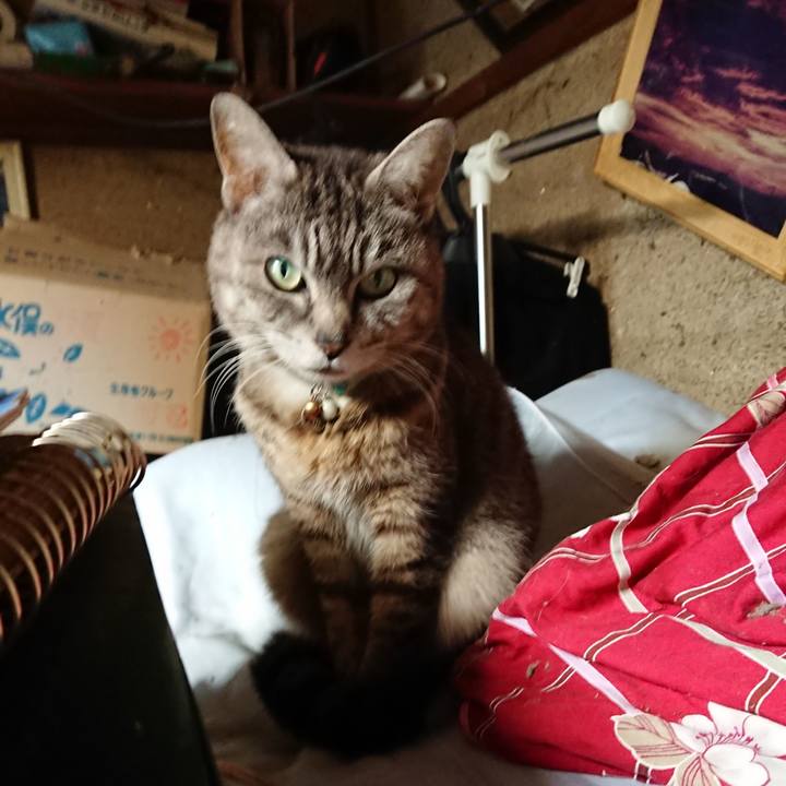 63786d7d b824 41cd b906 2f4b4ab67b18 1558601934044