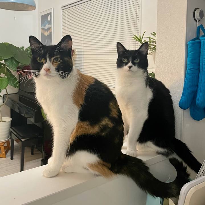 6378746a 6517 45d8 a4fa 99cde0f79159 1708009681672