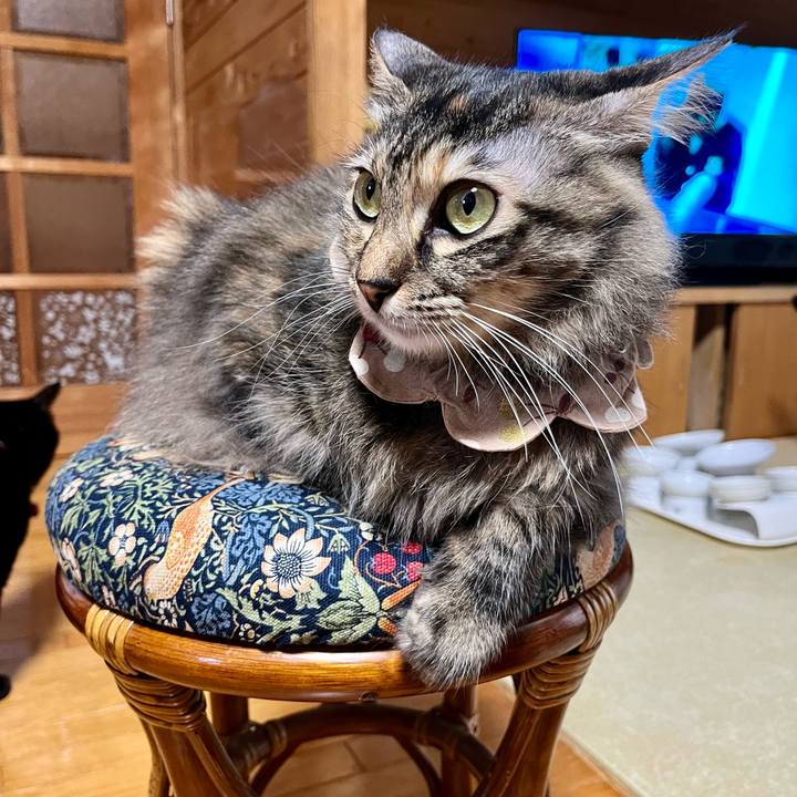 6378764a eb12 464d b8a4 c1cc45329cc1 1707980456108