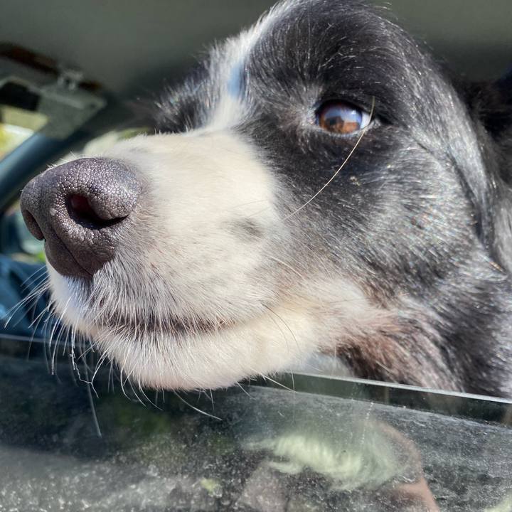 63787b35 9006 491b 89a9 39babd8f81b8 1618791312410