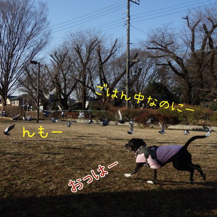 63789667 3512 4cfe 8ba0 9221bd88a72d 1646182118799