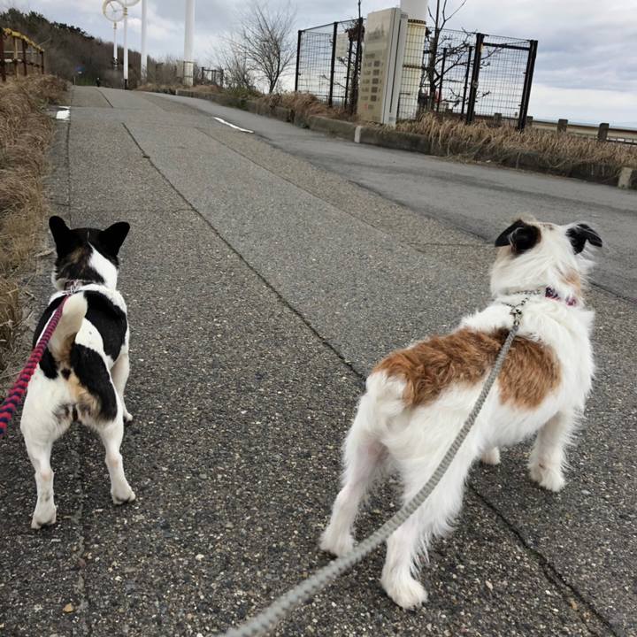 6378ccaa 6615 42cb 883a 7400e50cf84a 1553310062017