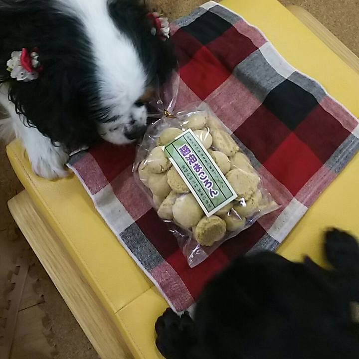 6378f5e0 4151 4b9a ac15 831995f1ece1 1540001129308