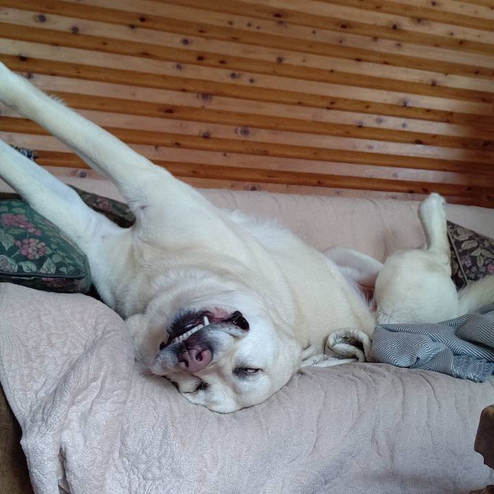 63790d2d 57a2 450e b0f8 f76d2d897222 1650430259014