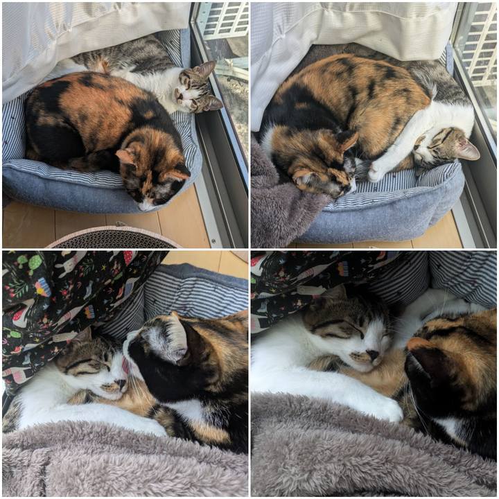 6379110d a321 495d 89ba ed5489bc3ed3 1731117215628