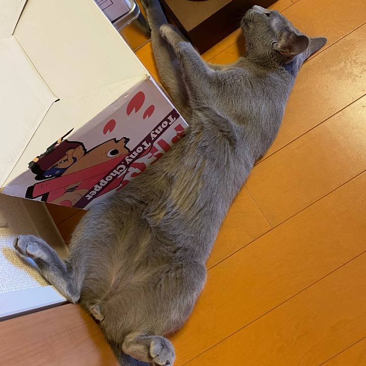 63793677 db40 49d7 9db2 5b35b4b3053f 1628219088136