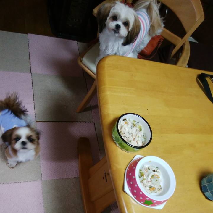 63793e94 a4d1 4aed b43c 4b409d4f4f82 1541199006141