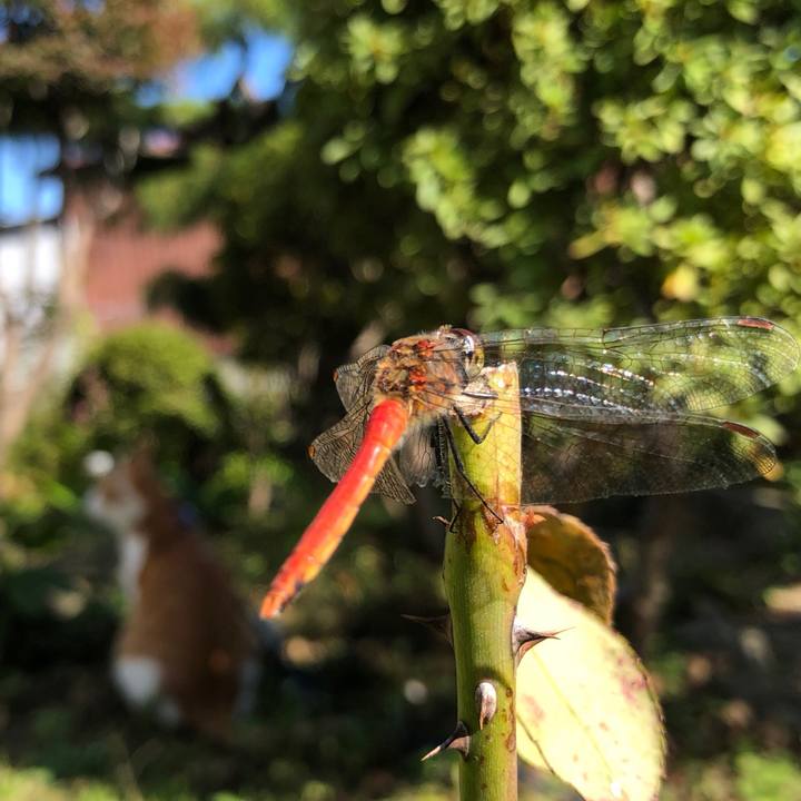 637965e7 c7b9 4f6b 91b1 9cf18343abbe 1539838966961